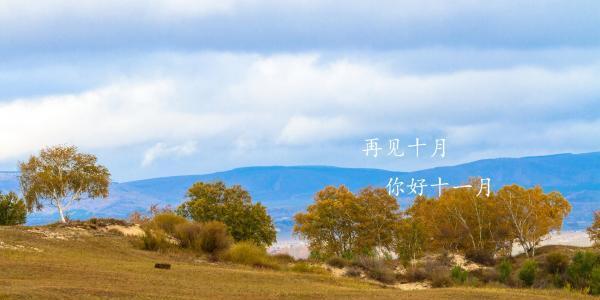 向新的月份致敬（向新的月份致敬）