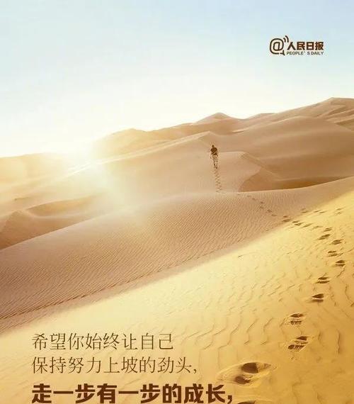 梦想与奋斗：追逐内心的璀璨星光
