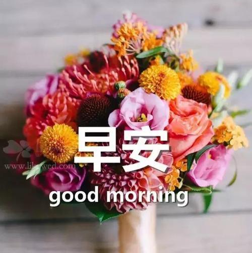 每日一句早安问候语（用唯美短句让你的一天开始美好）