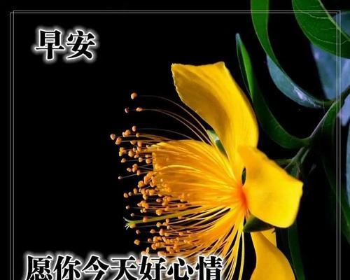 每天都要有一句幽默，让生活更美好（每天都要有一句幽默）