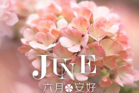 六月的美丽（心灵的花朵在这里绽放）