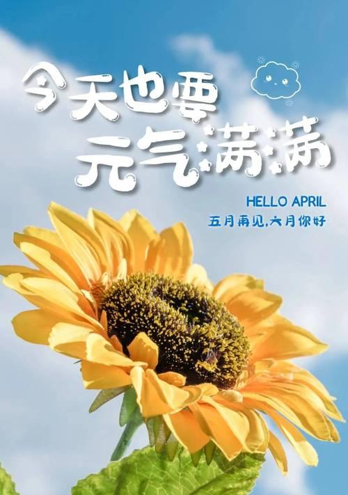 唯美短句浪漫情怀（领略六月微信朋友圈经典句子）